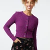 Amelia Cardi