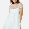 Butterflies On The Wall Mesh Dress