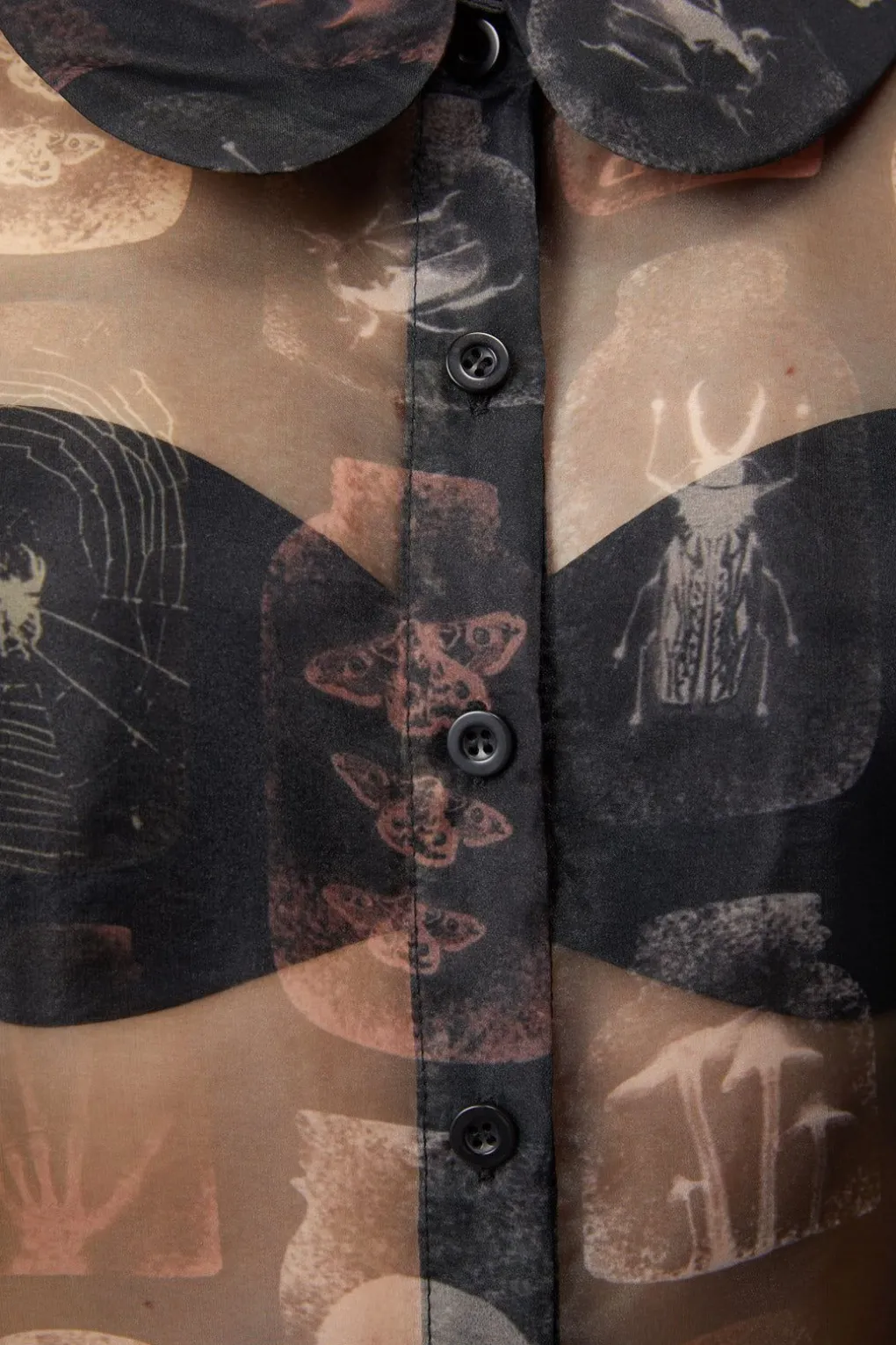 Collections Blouse