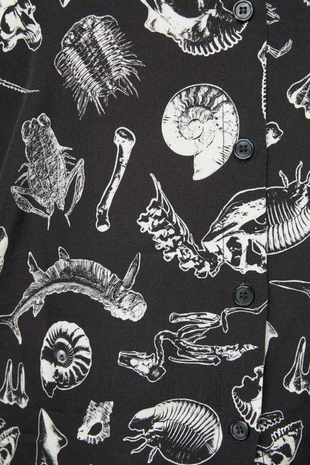 Curve Body Fossils Printed Blouse