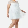 Curve Butterflies On The Wall Mesh Dress
