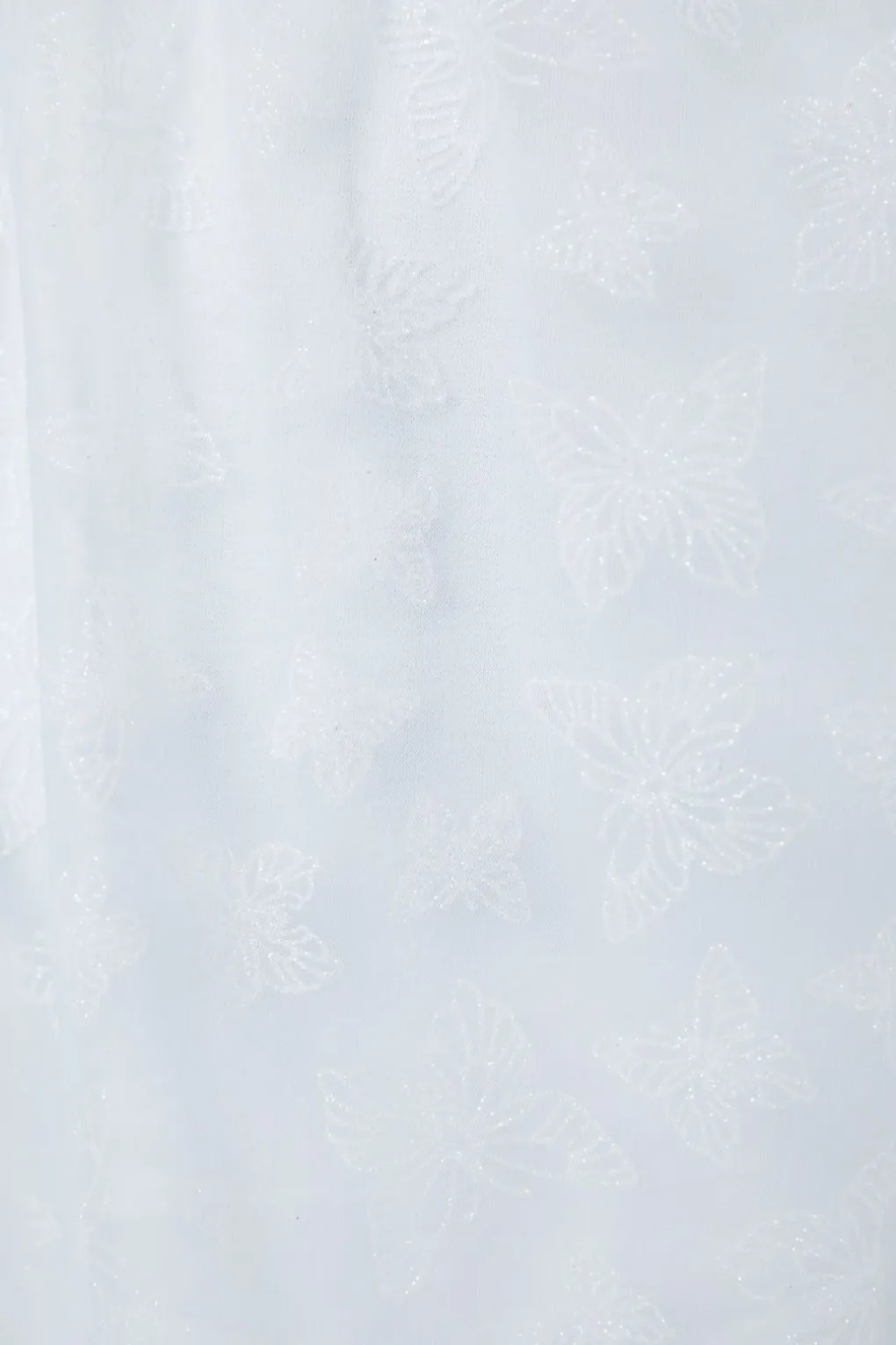 Curve Butterflies On The Wall Mesh Dress