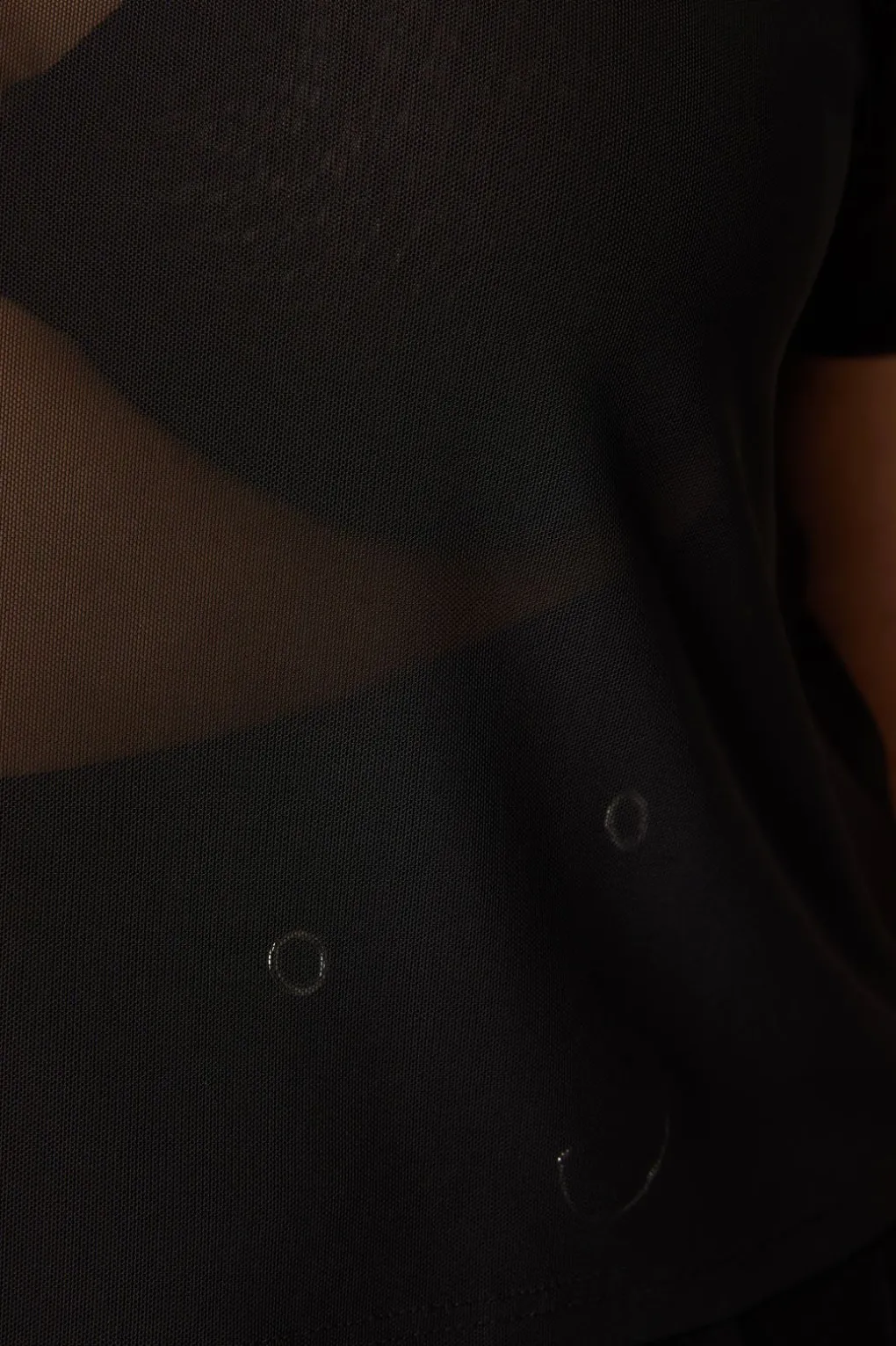 Curve Entity Mesh Top
