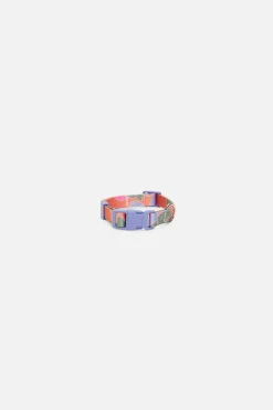 Donna Dog Collar S