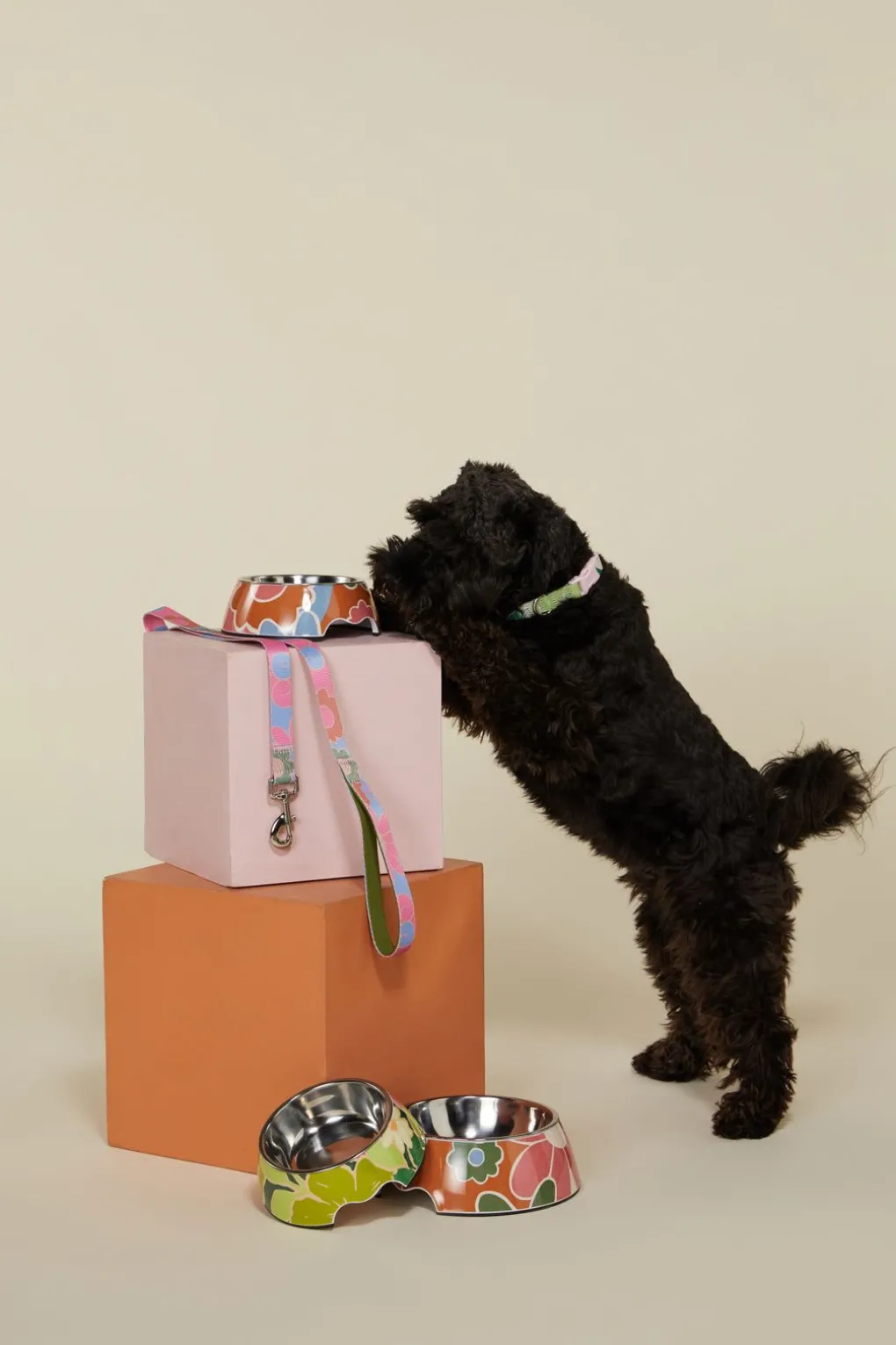 Donna Pet Bowl S