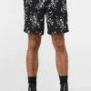Garden Skelly Trunk