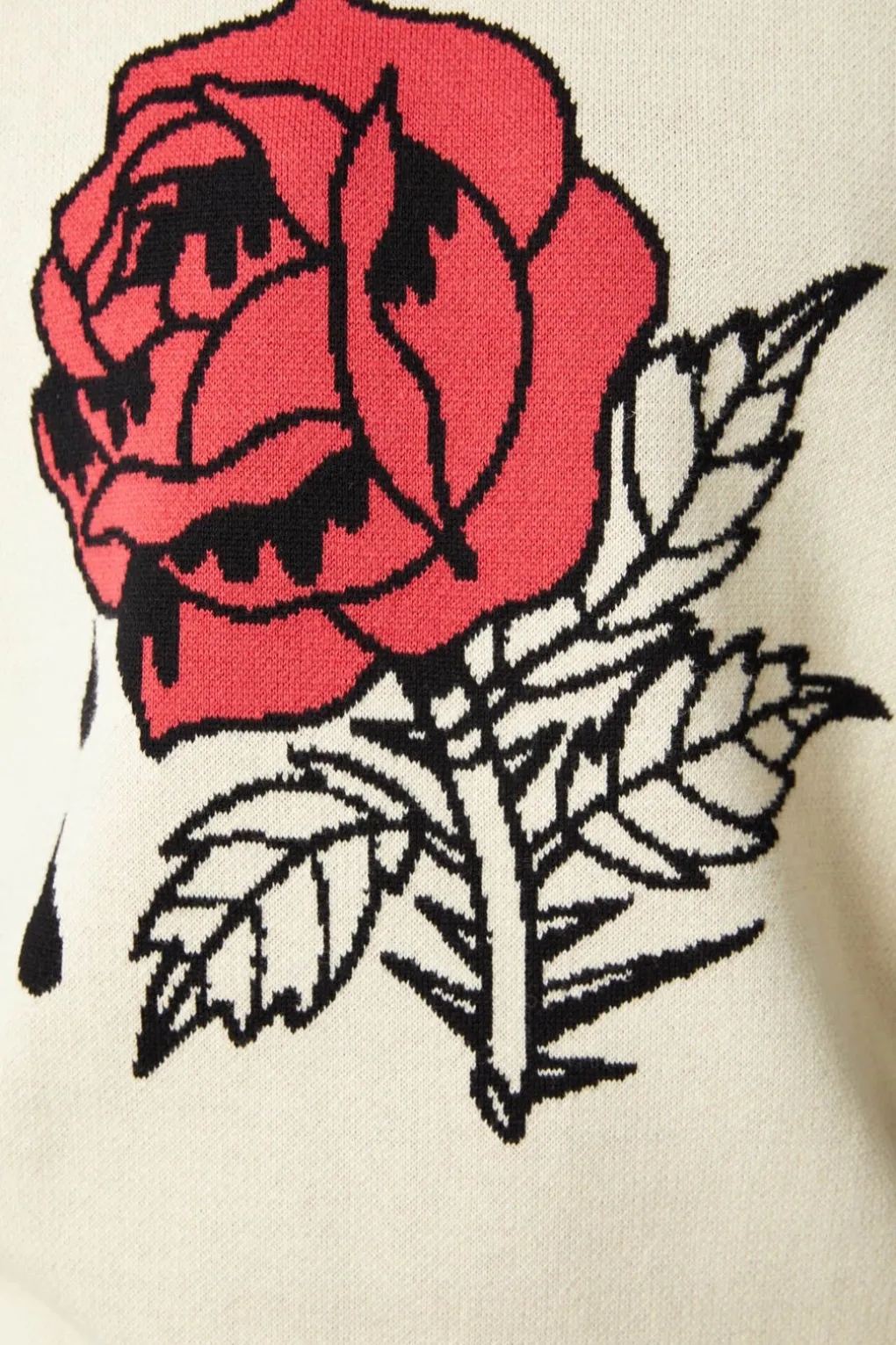 Paint The Roses Knit