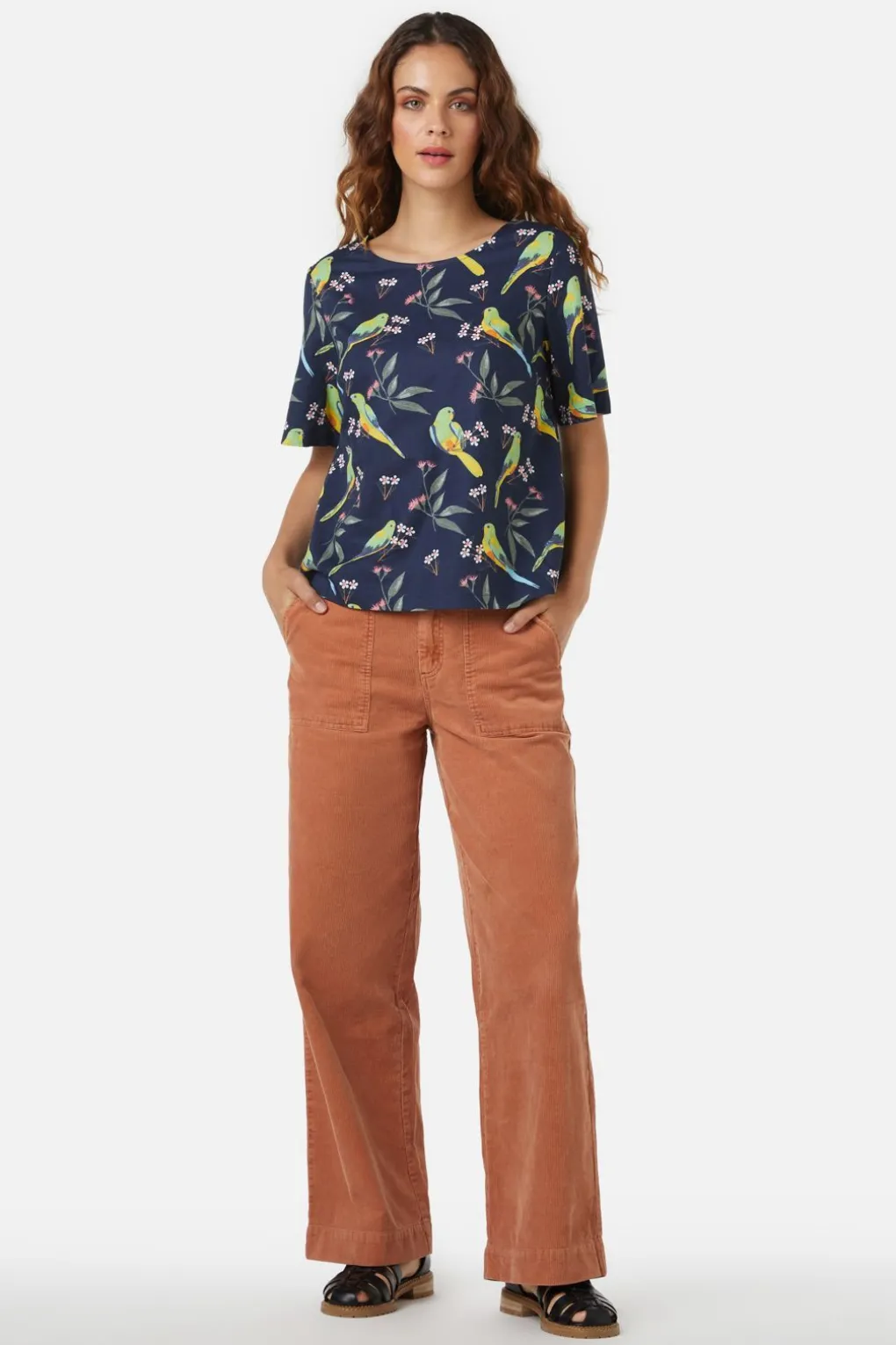 Parrot Top