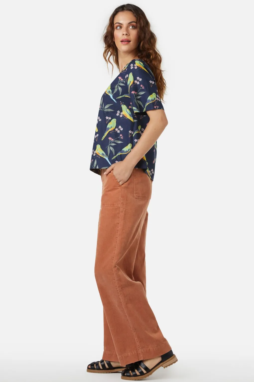 Parrot Top